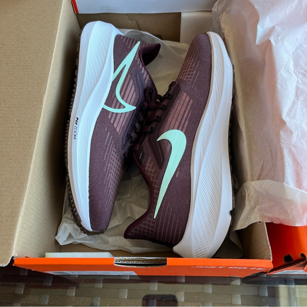 Women’s nike air zoom Pegasus 39  canyon rust/ mint foam
